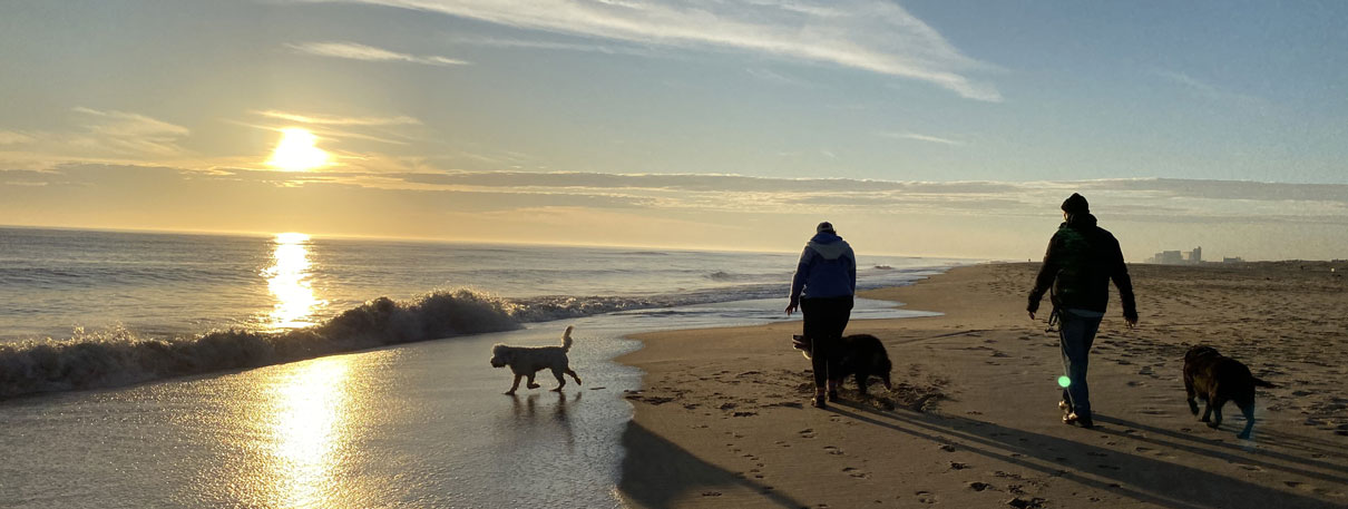 Exploring the Beach